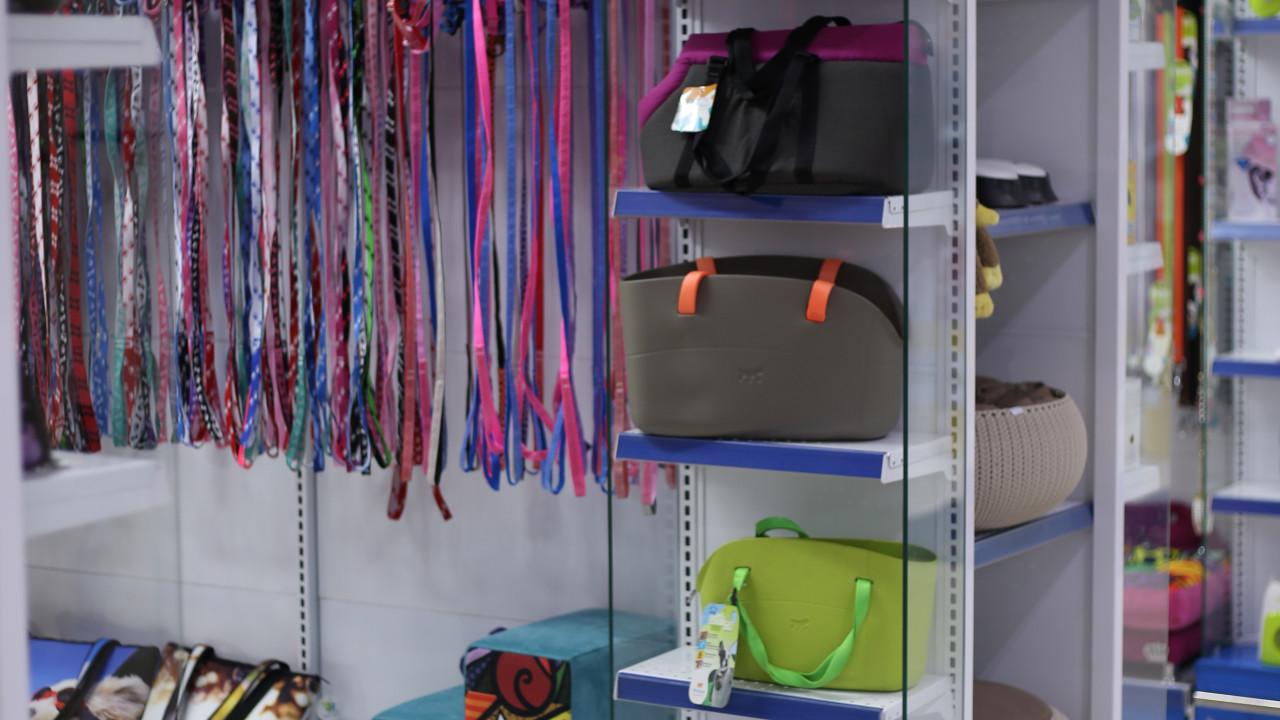 gôndola para coleiras, camas pet e acessórios petshop