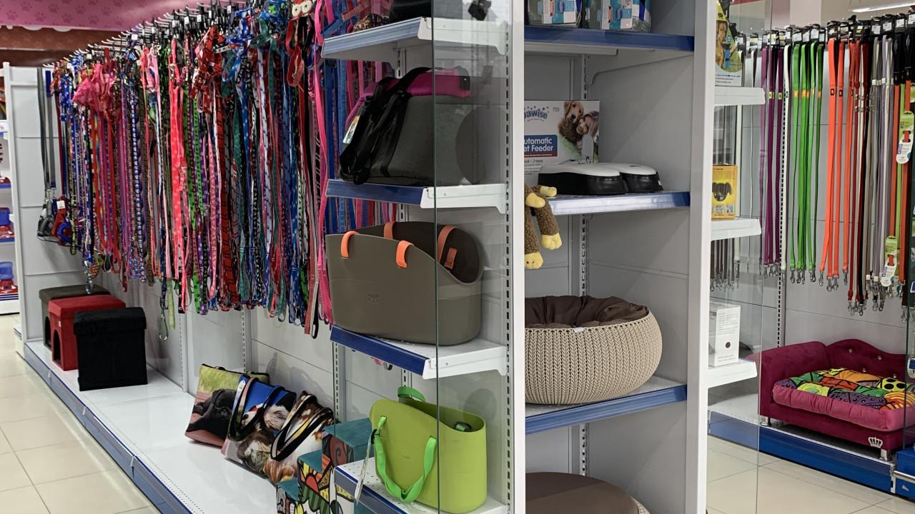 gôndola para coleiras, camas pet e acessórios petshop