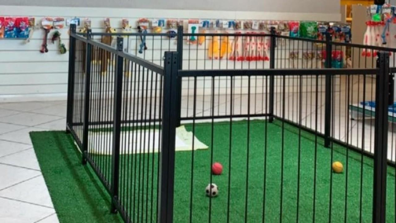 mobiliário personalizado para agropecuária e petshop